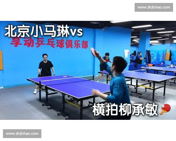 马琳对决柳承敏精彩瞬间回顾与技术风格深度解析